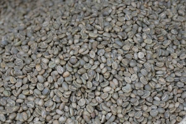 Green Coffee Beans Colombian Picture